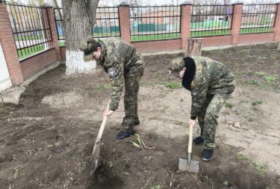 День древонасаждения
